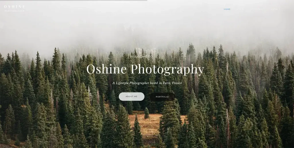 Oshine Theme für Fotografen